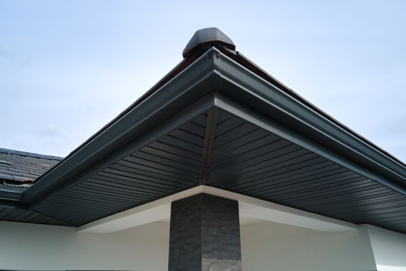 Stainless Steel Gutter Service